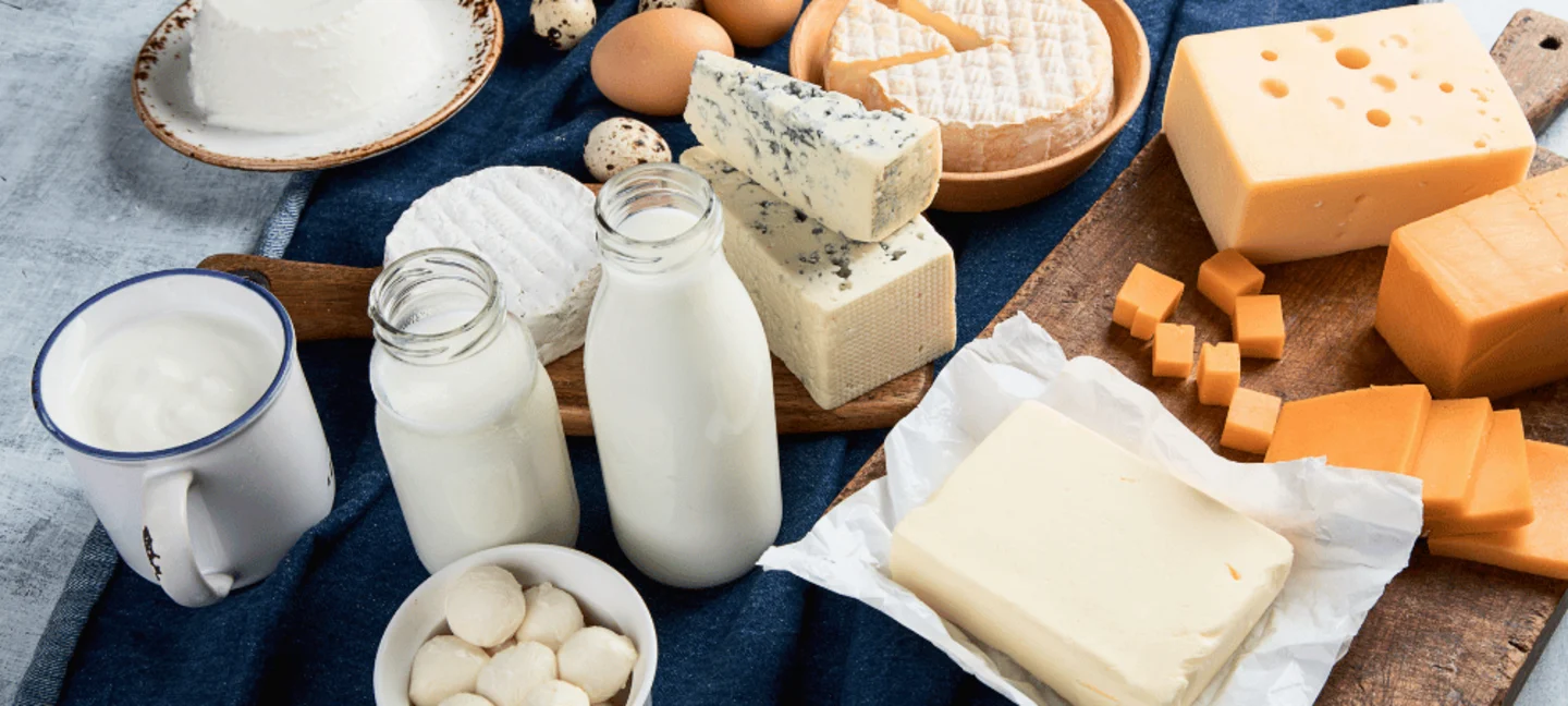 Dairy & Ingredients products presented in a professional quality-control setting