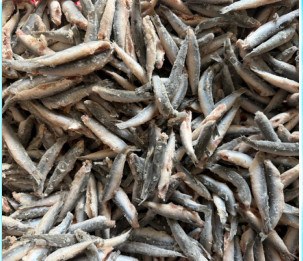 IQF cleaned head-off anchovy, 7-10 cm product