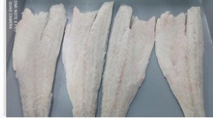 IQF skin-on PBI sea bass fillet, 100-140 g product