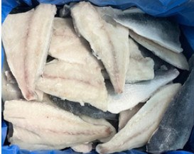Boneless sea bream fillet product
