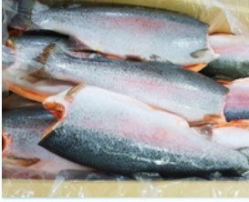 Gutted head-off rainbow trout, 2.8-3.7 kg product