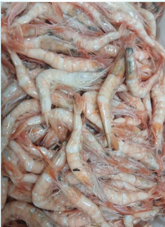 IQF red shrimp, 100/120 pcs/kg product