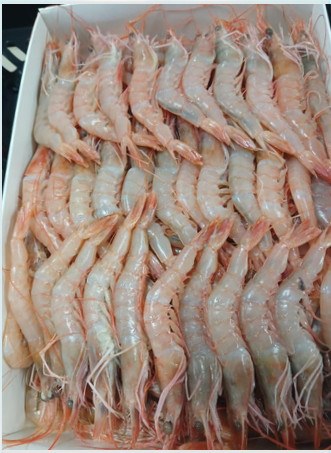 IQF red shrimp, 120/130 pcs/kg product