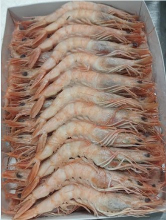 IQF red shrimp, 130/150 pcs/kg product