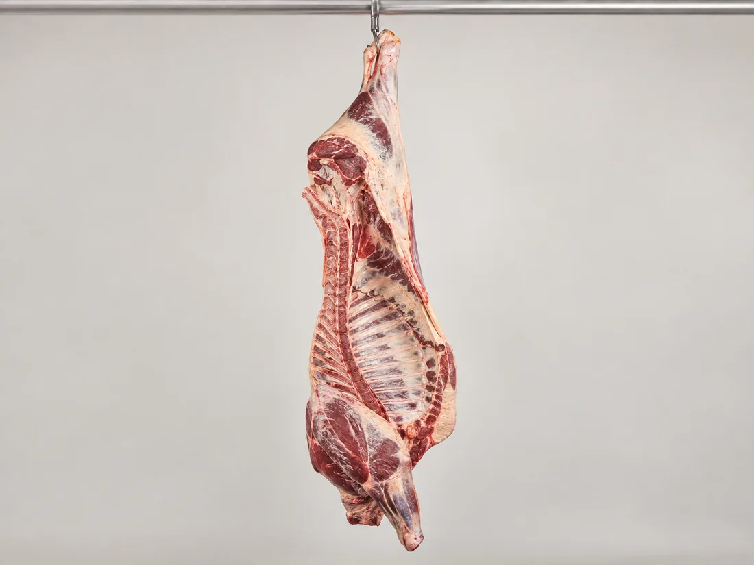 Female grain-fed carcass — Grade R product