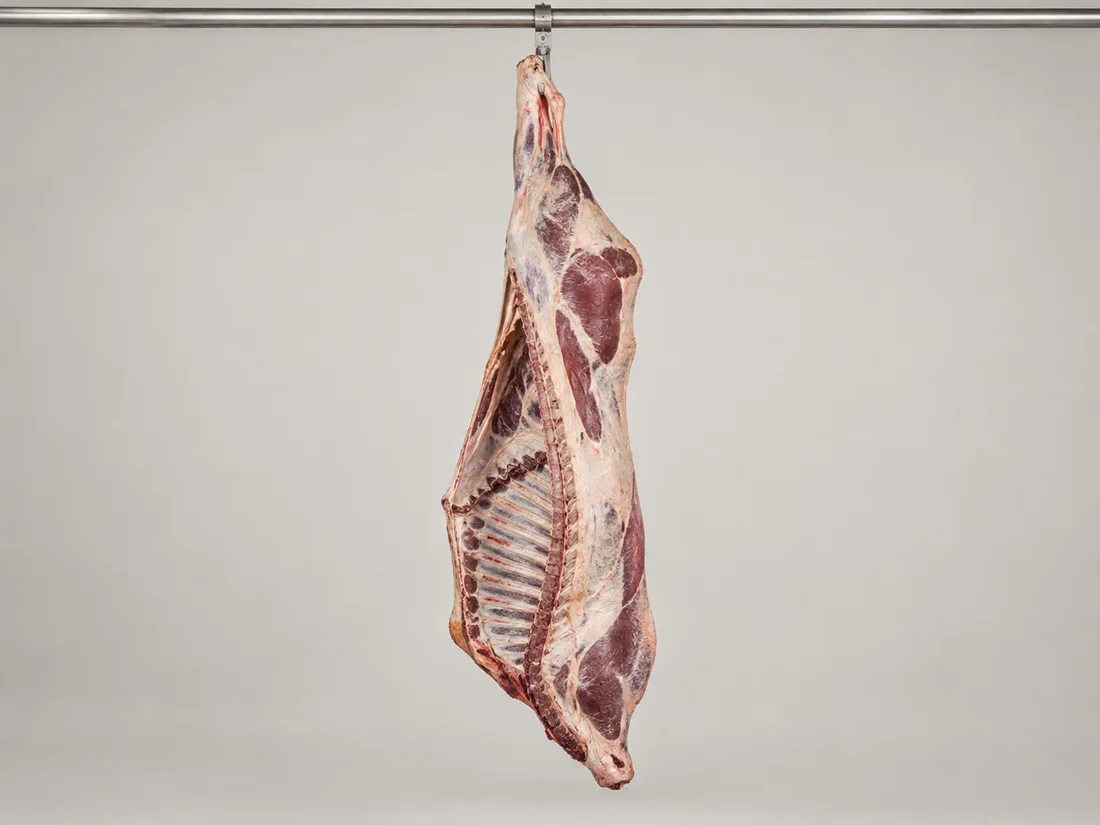 Male grain-fed carcass — Grade U product