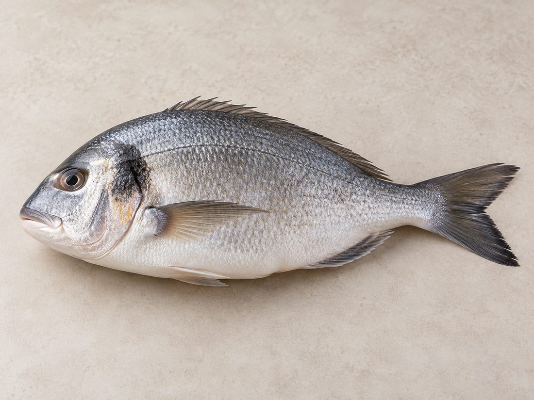 Sea bream HOG, 200-300 g/pcs product