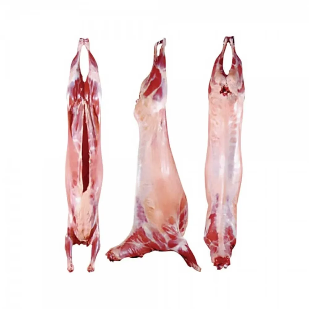 Whole lamb carcass (halal) product