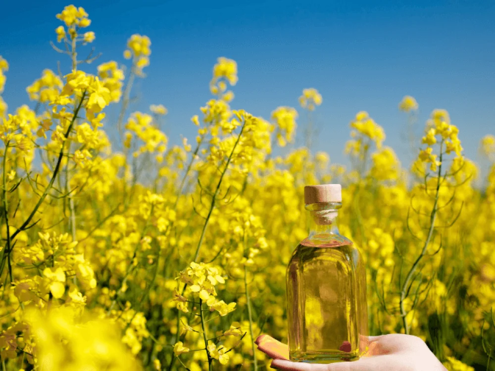 Rapeseed oil product